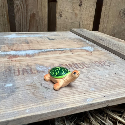 Kerry the Tortoise BOTANICAL BESTIES PLANT COMPANIONS