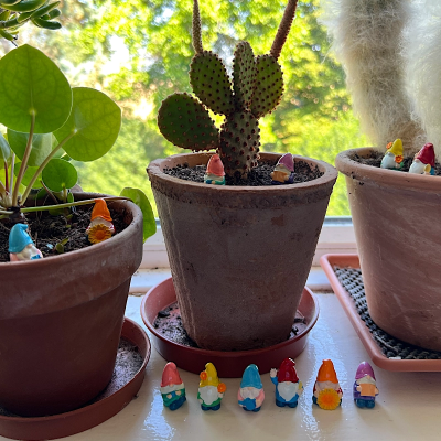 BOTANICAL BESTIES - PLANT COMPANIONS MINI GNOMES