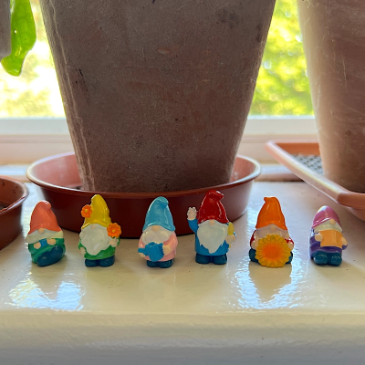 BOTANICAL BESTIES - PLANT COMPANIONS MINI GNOMES