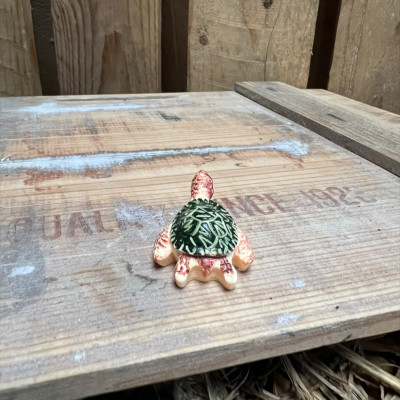 Sandy the SeaTurtle BOTANICAL BESTIES PLANT COMPANIONS