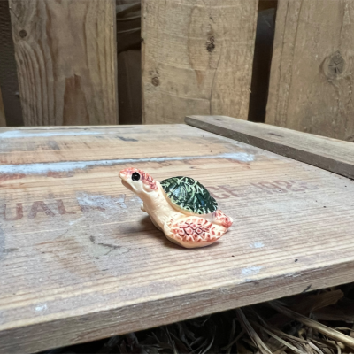 Sandy the SeaTurtle BOTANICAL BESTIES PLANT COMPANIONS