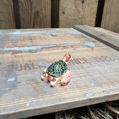Sandy the SeaTurtle BOTANICAL BESTIES PLANT COMPANIONS