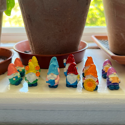 BOTANICAL BESTIES - PLANT COMPANIONS MINI GNOMES