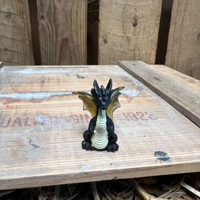 Erebus Black Dragon BOTANICAL BESTIES PLANT COMPANIONS