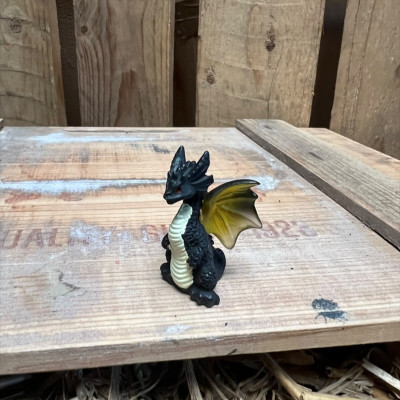Erebus Black Dragon BOTANICAL BESTIES PLANT COMPANIONS