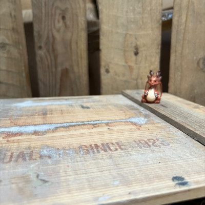 Clay Brown Dragon BOTANICAL BESTIES PLANT COMPANIONS