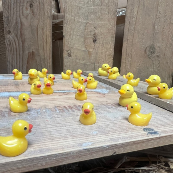 BOTANICAL BESTIES - PLANT COMPANIONS MINI RUBBER DUCKS