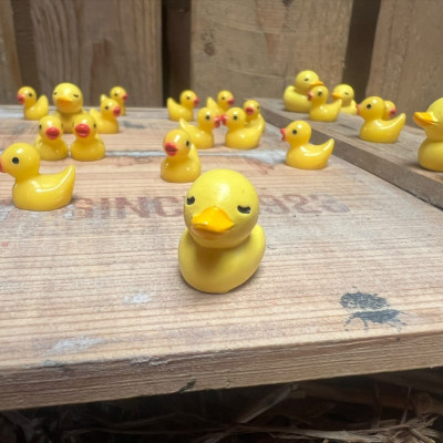 BOTANICAL BESTIES - PLANT COMPANIONS MINI RUBBER DUCKS