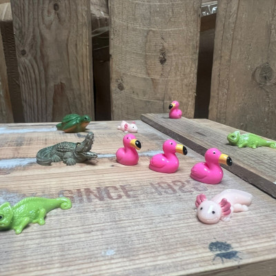 BOTANICAL BESTIES - PLANT COMPANIONS MEXICO ANIMALS