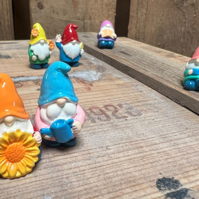 BOTANICAL BESTIES - PLANT COMPANIONS MINI GNOMES