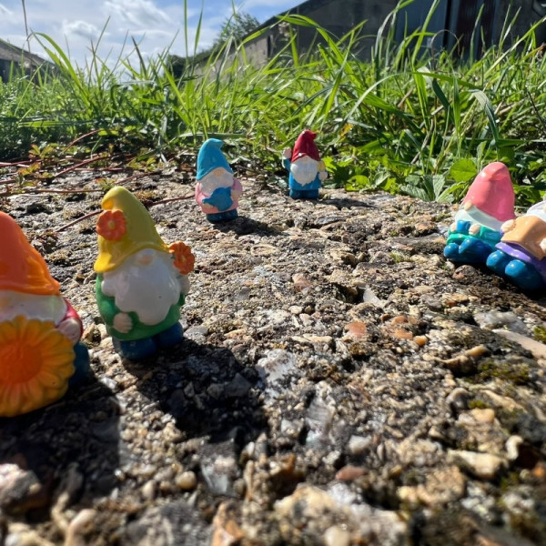 BOTANICAL BESTIES - PLANT COMPANIONS MINI GNOMES