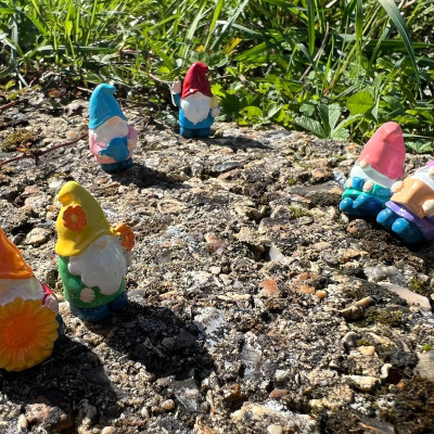 BOTANICAL BESTIES - PLANT COMPANIONS MINI GNOMES