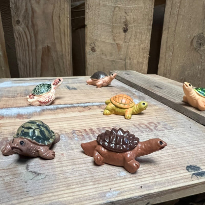 BOTANICAL BESTIES - PLANT COMPANIONS TURTLES