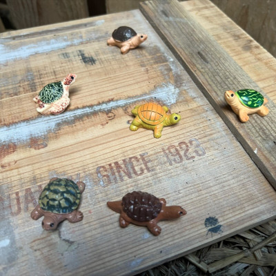 BOTANICAL BESTIES - PLANT COMPANIONS TURTLES