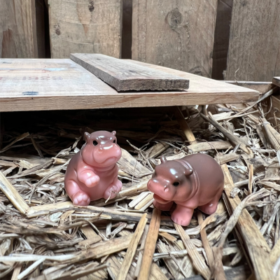 BOTANICAL BESTIES - PLANT COMPANIONS AFRICAN ANIMALS MIX