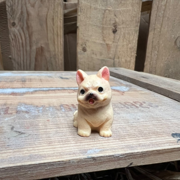 French Bulldog BOTANICAL BESTIES PLANT COMPANIONS