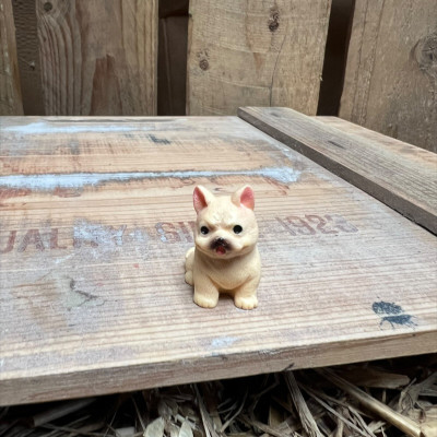 French Bulldog BOTANICAL BESTIES PLANT COMPANIONS
