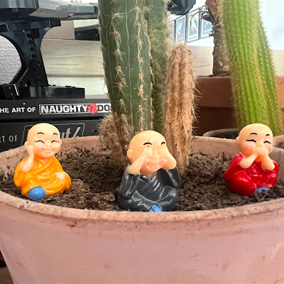 BOTANICAL BESTIES - PLANT COMPANIONS MINI BUDDHAS