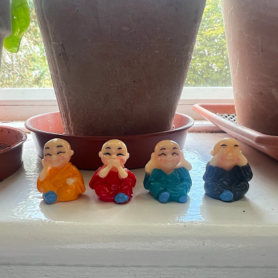 BOTANICAL BESTIES - PLANT COMPANIONS MINI BUDDHAS