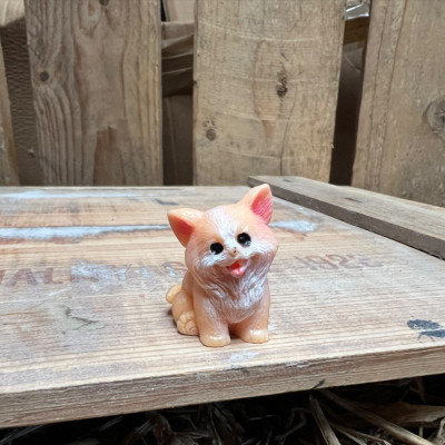 Corgi BOTANICAL BESTIES PLANT COMPANIONS