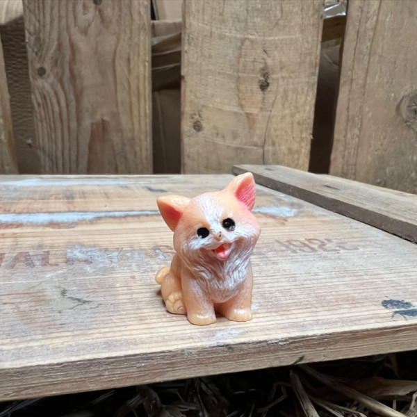 Corgi BOTANICAL BESTIES PLANT COMPANIONS