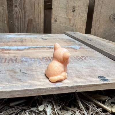 Corgi BOTANICAL BESTIES PLANT COMPANIONS