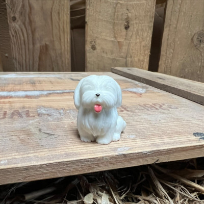 Old English Sheepdog BOTANICAL BESTIES PLANT COMPANIONS