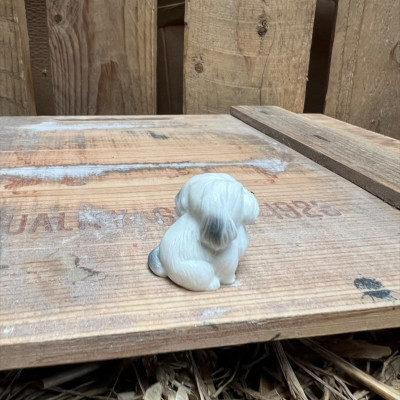 Old English Sheepdog BOTANICAL BESTIES PLANT COMPANIONS