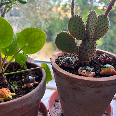 BOTANICAL BESTIES - PLANT COMPANIONS TURTLES