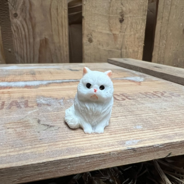 Grumpy Solid White Persian Cat BOTANICAL BESTIES PLANT COMPANIONS