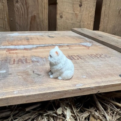 Grumpy Solid White Persian Cat BOTANICAL BESTIES PLANT COMPANIONS