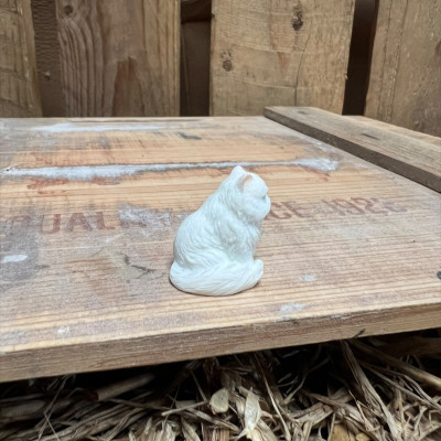 Grumpy Solid White Persian Cat BOTANICAL BESTIES PLANT COMPANIONS
