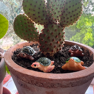BOTANICAL BESTIES - PLANT COMPANIONS TURTLES