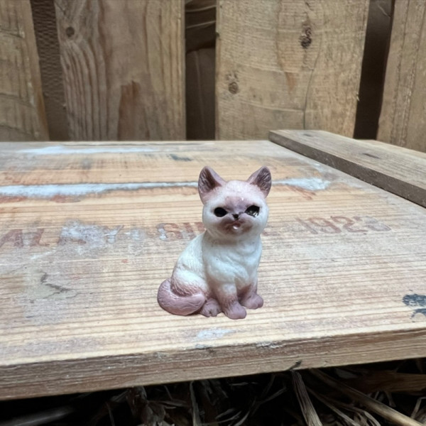 Siamese Cat BOTANICAL BESTIES PLANT COMPANIONS