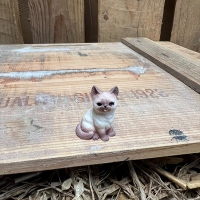 Siamese Cat BOTANICAL BESTIES PLANT COMPANIONS