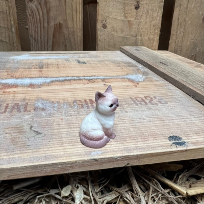 Siamese Cat BOTANICAL BESTIES PLANT COMPANIONS