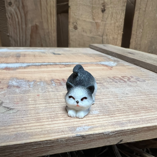 Stretching Tuxedo Cat BOTANICAL BESTIES PLANT COMPANIONS