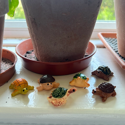 BOTANICAL BESTIES - PLANT COMPANIONS TURTLES
