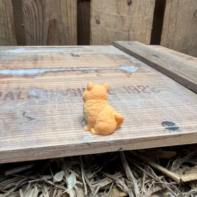 Looking at food Ginger Tabby Cat BOTANICAL BESTIES PLANT COMPANIONS
