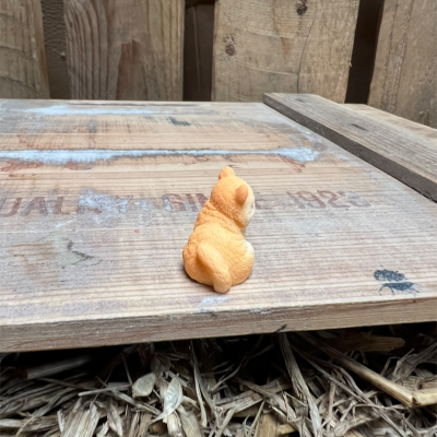 Looking at food Ginger Tabby Cat BOTANICAL BESTIES PLANT COMPANIONS