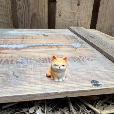 Happy Ginger Tabby Cat BOTANICAL BESTIES PLANT COMPANIONS