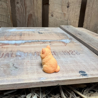 Happy Ginger Tabby Cat BOTANICAL BESTIES PLANT COMPANIONS