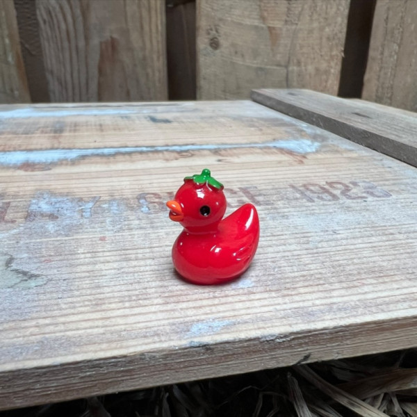 Tomato Rubber Duck BOTANICAL BESTIES PLANT COMPANIONS