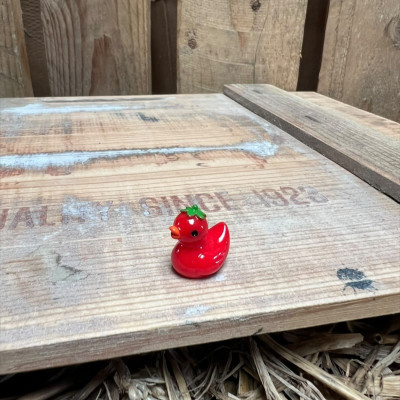 Tomato Rubber Duck BOTANICAL BESTIES PLANT COMPANIONS