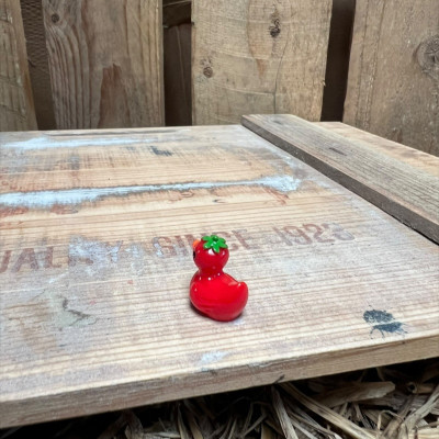 Tomato Rubber Duck BOTANICAL BESTIES PLANT COMPANIONS