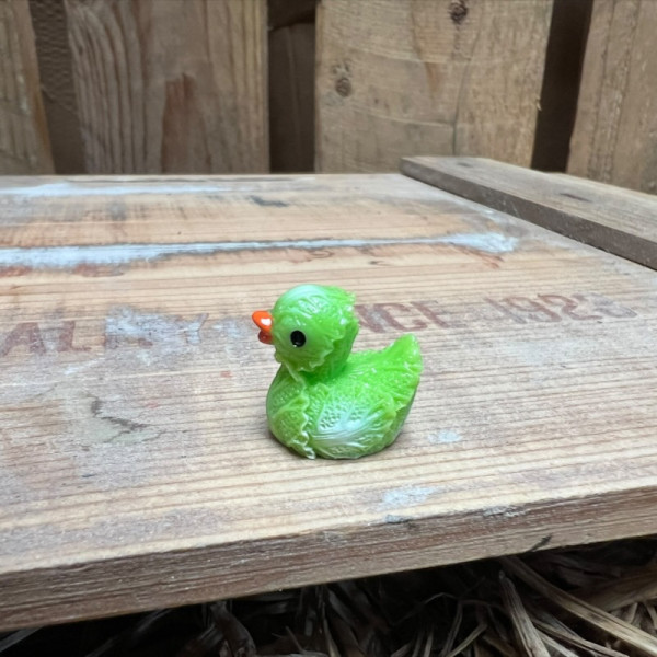 Lettuce Rubber Duck BOTANICAL BESTIES PLANT COMPANIONS
