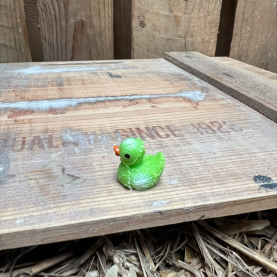 Lettuce Rubber Duck BOTANICAL BESTIES PLANT COMPANIONS
