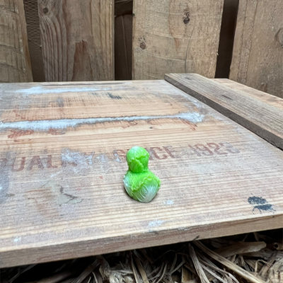 Lettuce Rubber Duck BOTANICAL BESTIES PLANT COMPANIONS