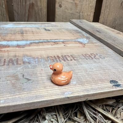 Potato Rubber Duck BOTANICAL BESTIES PLANT COMPANIONS