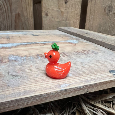 Carrot Rubber Duck BOTANICAL BESTIES PLANT COMPANIONS